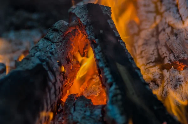Fogo, carvão, temperatura, chama, brasas, queima, madeira, fogueira, cinzas, fogueira, laranja, amarelo — Fotografia de Stock