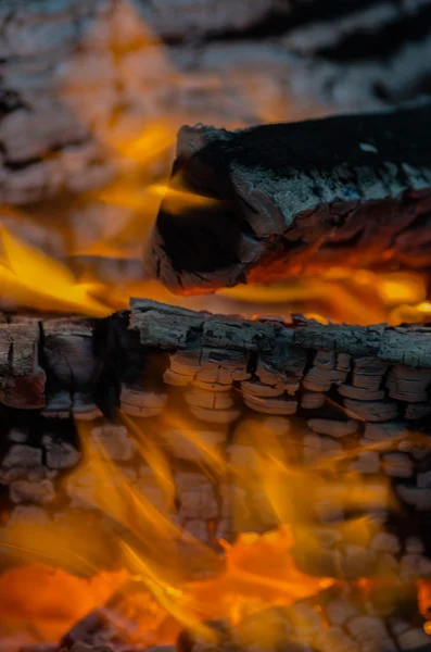 Fogo, carvão, temperatura, chama, brasas, queima, madeira, fogueira, cinzas, fogueira, laranja, amarelo — Fotografia de Stock