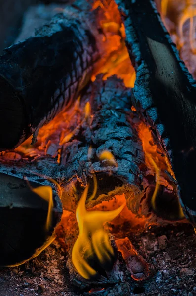 Fogo, carvão, temperatura, chama, brasas, queima, madeira, fogueira, cinzas, fogueira, laranja, amarelo — Fotografia de Stock