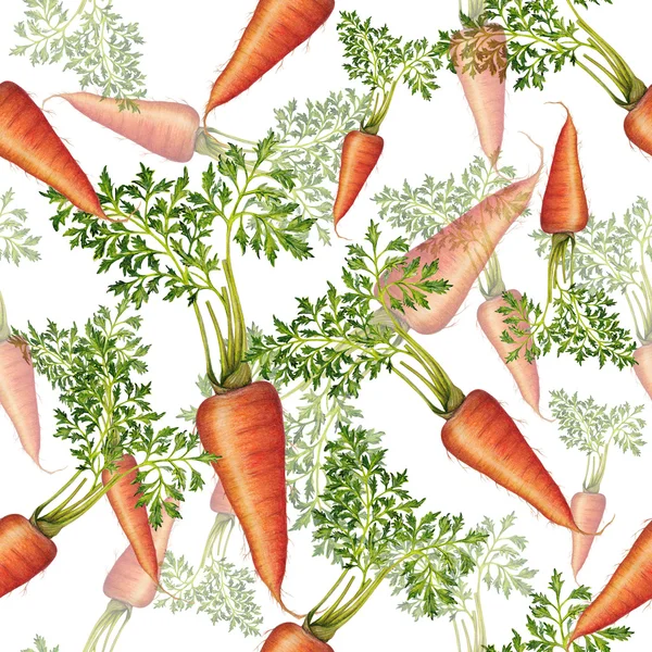 Patrón sin costuras de zanahoria fresca — Foto de Stock