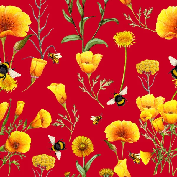 Ručně Kreslené Bezešvé Vzor Letních Planě Rostoucích Květin Květinový Vzor — Stock fotografie