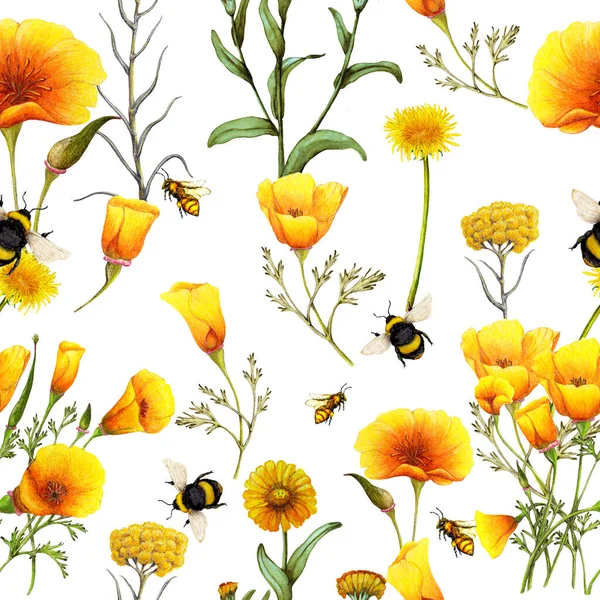 Ručně Kreslené Bezešvé Vzor Letních Planě Rostoucích Květin Květinový Vzor — Stock fotografie