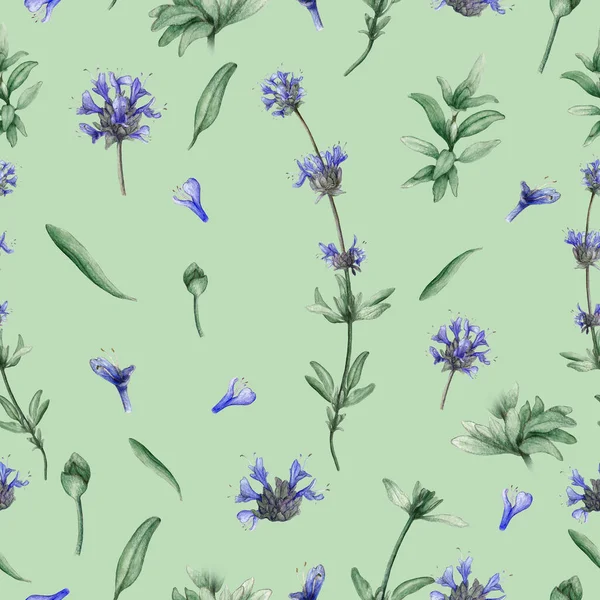 Watercolor Seamless Pattern Cleveland Sage Plant — Stock Photo, Image