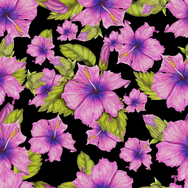 Pattern of hibiscus — Stock Photo, Image