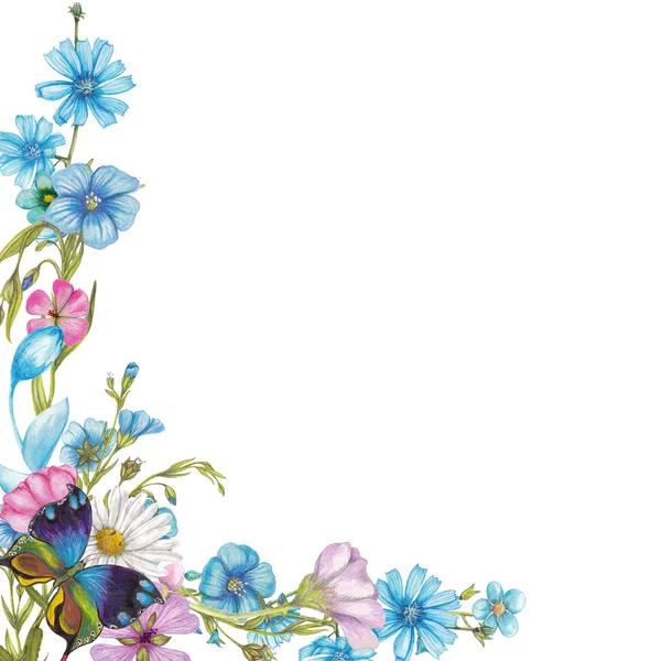 ดอกไม้ป่าและผีเสื้อ — ภาพถ่ายสต็อก