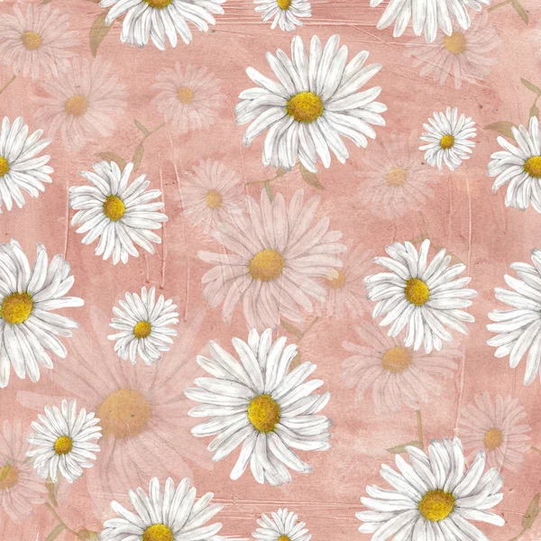 Chamomile pattern on grange background — Stock Photo, Image