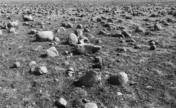 Großes Feld Mit Steinen Unterschiedlicher Größe Schwarz Weiß Bild — Stockfoto