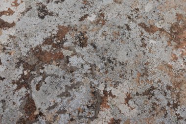 Açık havada gri-kahverengi doğal taşın yüzey yapısı
