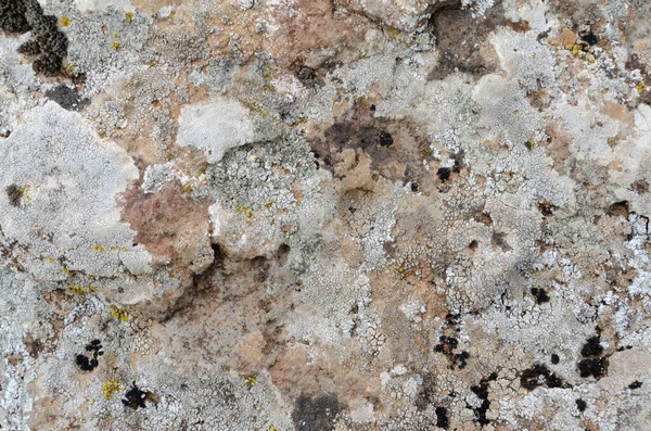 Структура Поверхности Серо Коричневого Природного Камня Открытом Воздухе — стоковое фото