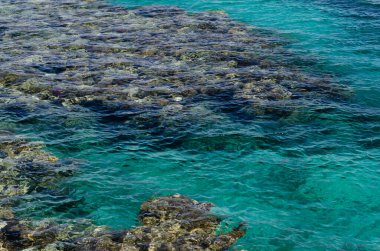 İsrail 'in Eilat kenti yakınlarında açık turkuaz deniz suyunda Kızıl Deniz' in dibinde kayalar görülüyor.