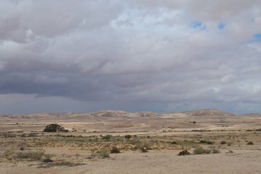 İsrail 'in kuzey Negev bölgesindeki antik bir Nabatean şehrinin kalıntıları.