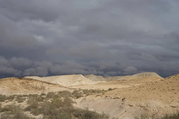 Nizzana Hillocks Fantasztikus Formájú Negev Sivatagban Izraelben Közel Egyiptomi Határhoz — Stock Fotó