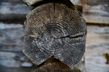 Evin eski tahta duvarları gridir.