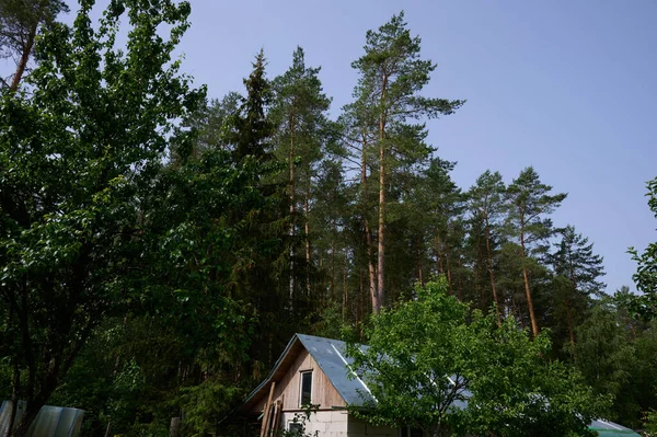 Ett skjul av vita block med galvaniserat tak intill skogen — Stockfoto