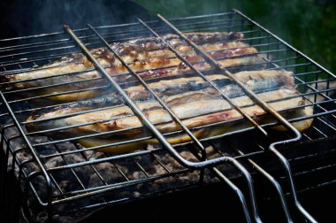Yazın doğada balık barbeküsü