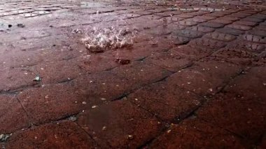 Yavaşça kaldırım taşlarına düşen yağmur, su damlalarıyla yakın çekim. Yüksek kalite 4k görüntü