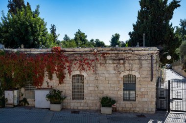 JERUSALEM, ISRAEL - 26 Kasım 2025: Kudüs 'teki Teddy Kollek Parkı' nda hafif müzik çeşmesi. Yüksek kalite fotoğraf