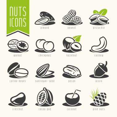 fındık Icon set