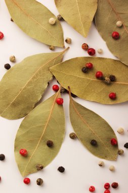 Defne yaprağı ve biber karışımı