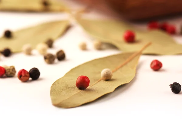 Folhas de louro e mistura de pimenta — Fotografia de Stock