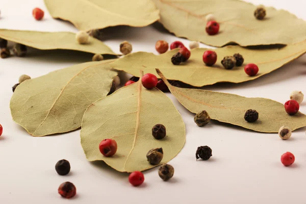 Bay leaves and pepper mix — Stock Photo, Image