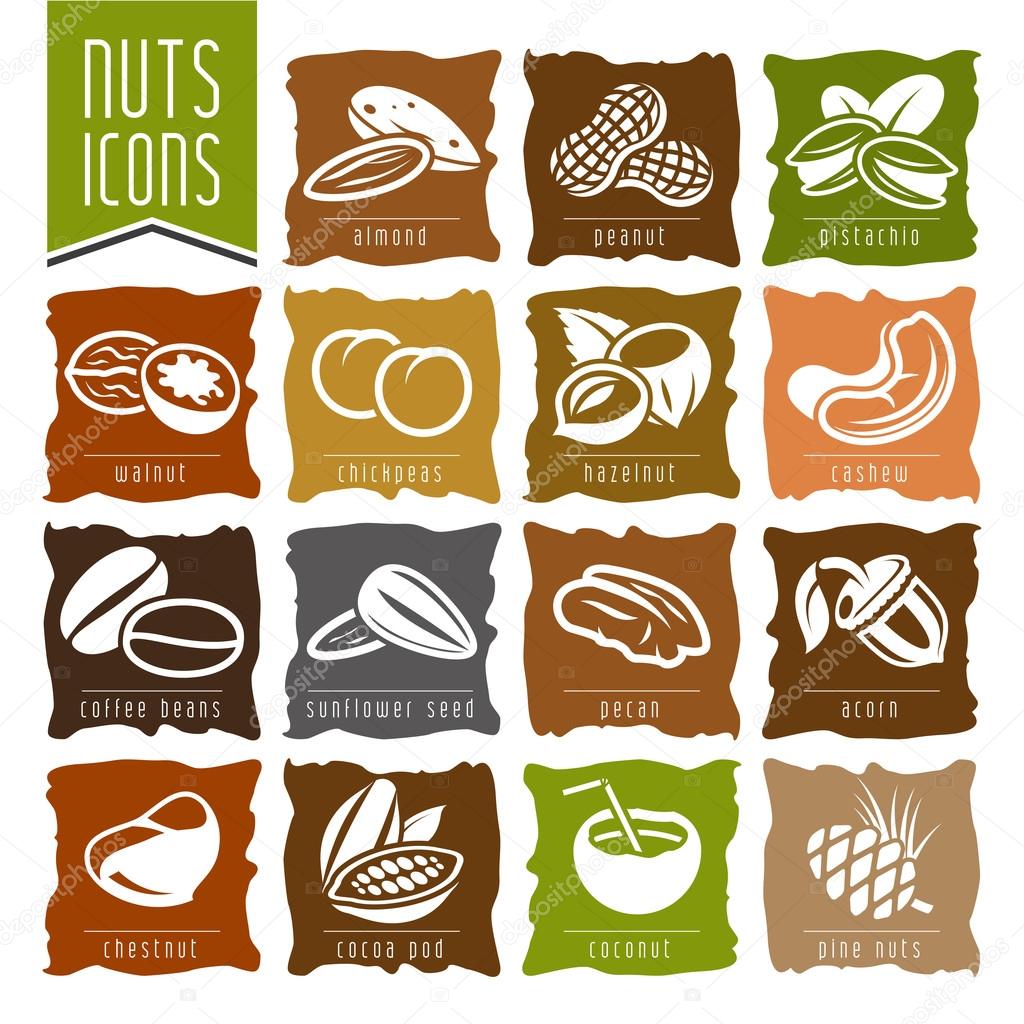 Nuts icon set - 2