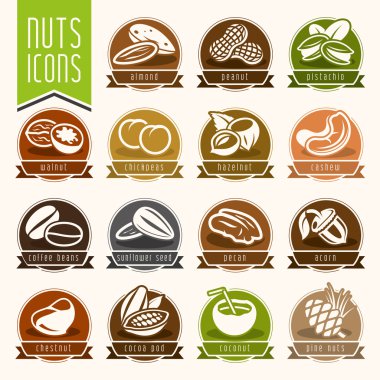 fındık Icon set