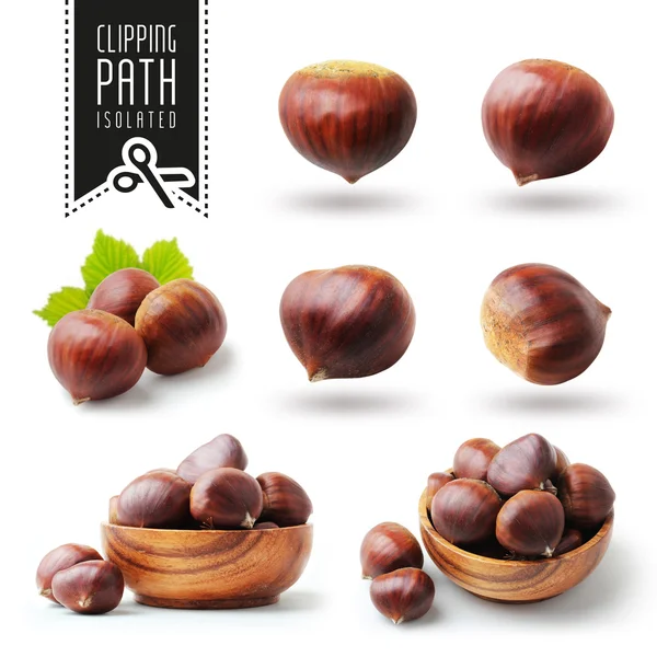 Isolated chestnut set with clipping path — Stock Photo, Image