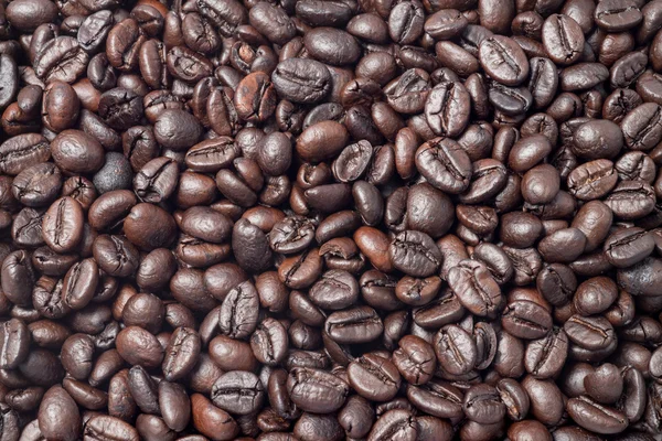 Coffee bean background — Stock Photo, Image