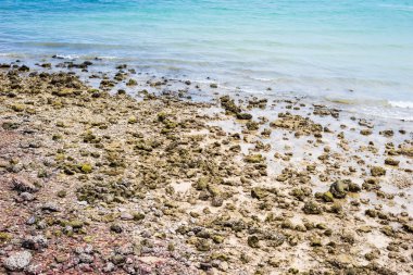 Sahilde kayalar var.