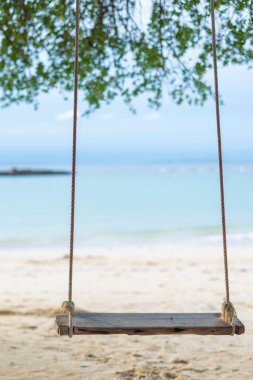Sahildeki ağaçta sallanan bir salıncak.
