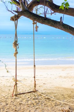 Sahildeki ağaçta sallanan bir salıncak.