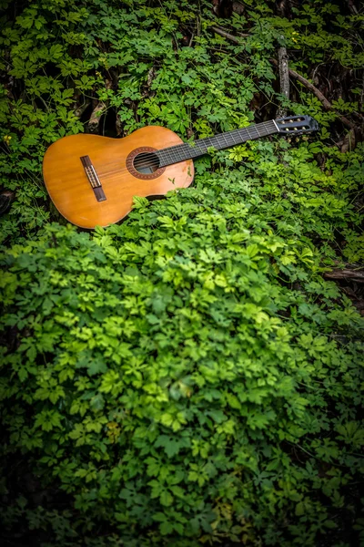 Gitara Klasyczna Tle Drewna Zielonym Liściem Vintage Ton Styl Winiety — Zdjęcie stockowe