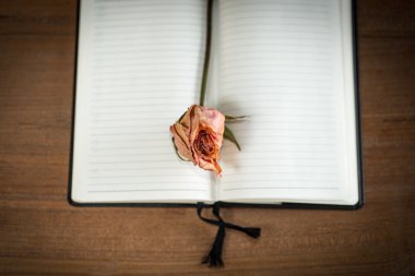 Eski gül ahşap arka plan üzerinde boş not defteri açıldı