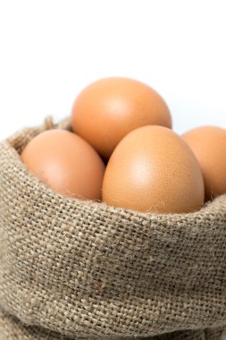 Çul portre tavuk yumurta