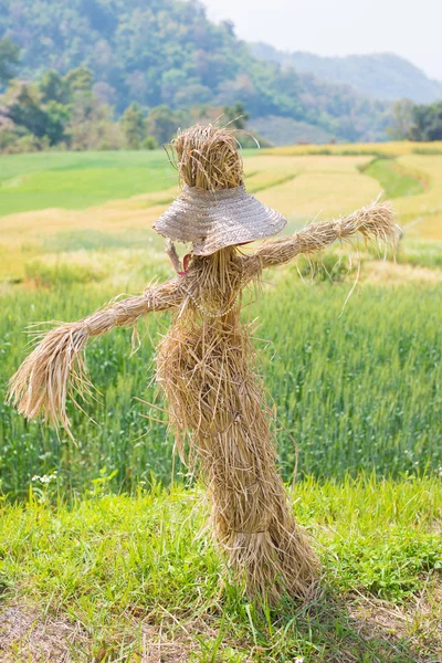 Vogelscheuche im Weizenfeld — Stockfoto