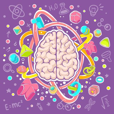 illustration of model of human brain clipart