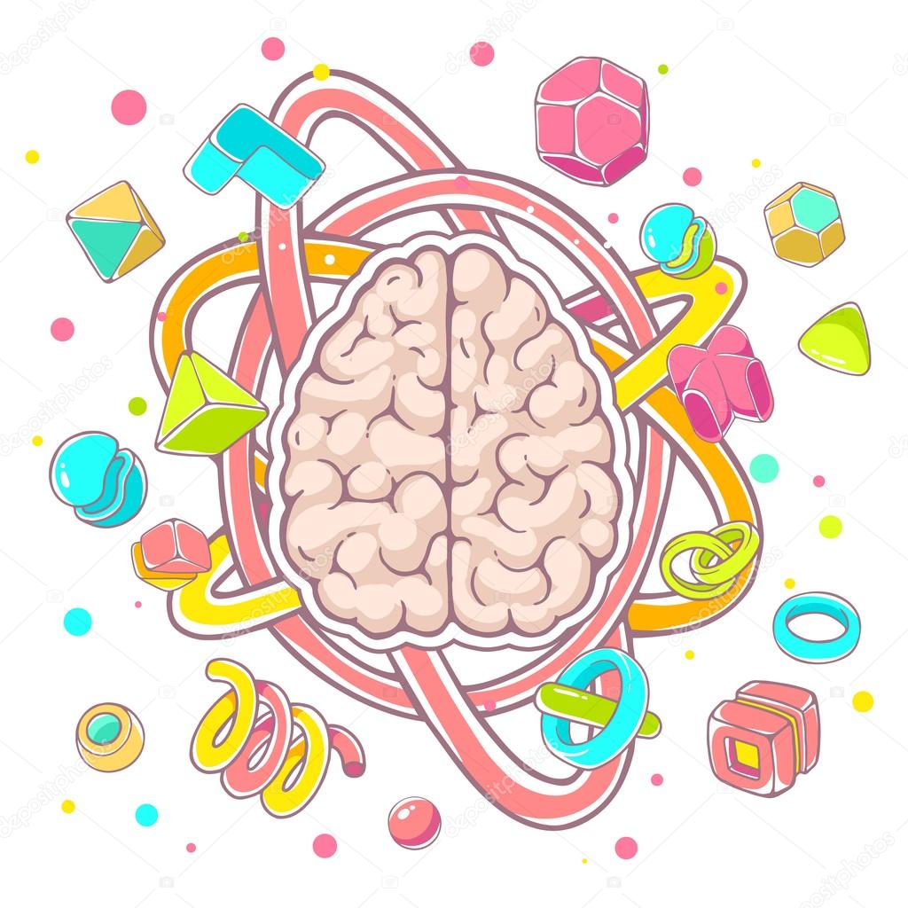 illustration of model of human brain