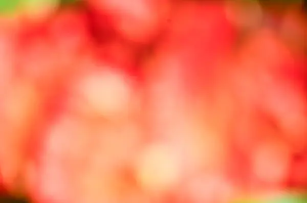 renkli ışıklar arka plan bulanıklık