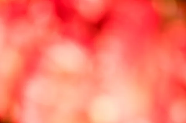 renkli ışıklar arka plan bulanıklık