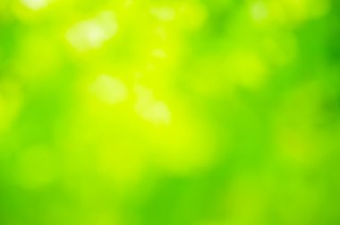 yeşil arka plan bulanık