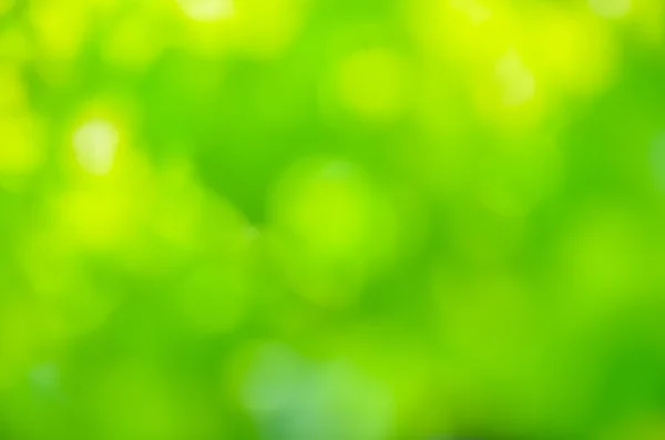 yeşil arka plan bulanık