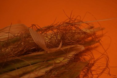 Koçandaki mısırlar geleneksel, kırsal bir pişirme düzeninde parlayan kırmızı közler üzerinde kızartılıyor..