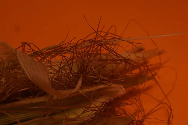 Koçandaki mısırlar geleneksel, kırsal bir pişirme düzeninde parlayan kırmızı közler üzerinde kızartılıyor..