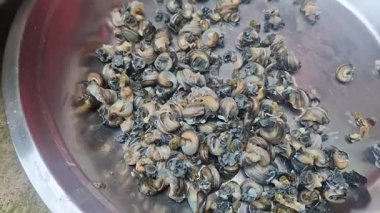 Tencerede balık pişirme süreci..