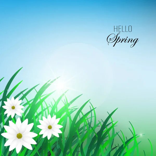 Olá inscrição primavera feita de grama. Fundo de primavera com grama verde no início da primavera no fundo macio desfocado. Ilustração vetorial eps10. — Vetor de Stock