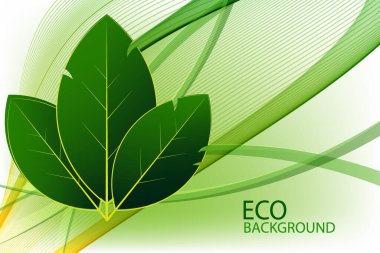 Vektör yeşil defne yaprakları, eko bayrak tasarımı, poster