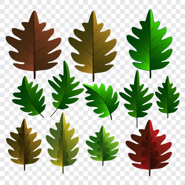 Set of oak leaves, vector abstract background design — Stock Vector