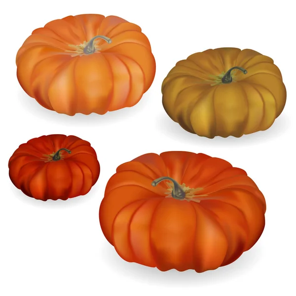 Set autunno con zucche vettoriali. Zucche colorate di forme diverse in uno stile piatto isolato su uno sfondo bianco. — Vettoriale Stock