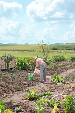 Sebze bahçesinde şapkalı ve iş elbiseli bir çiftçi bir su bidonunu suyla dolduruyor..